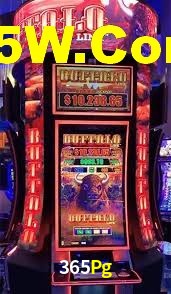 Roulette Table 365Pg